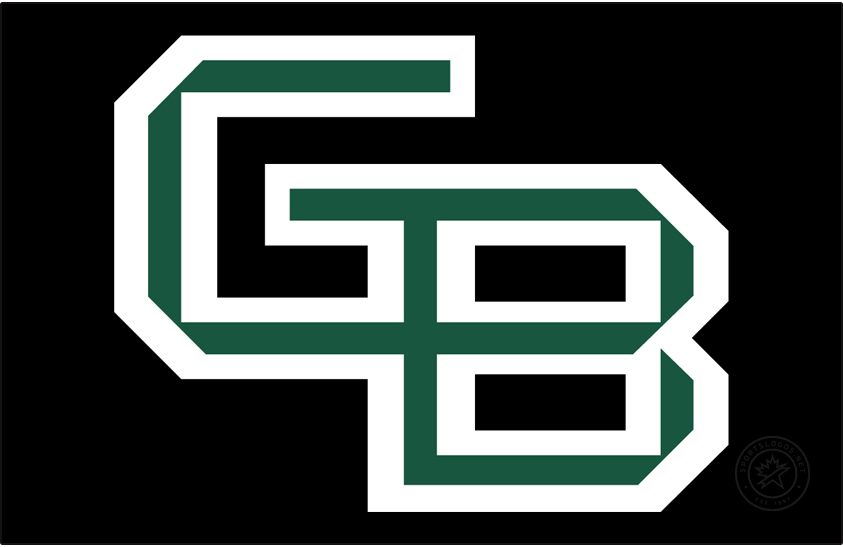 Wisconsin-Green Bay Phoenix 2018-Pres Primary Dark Logo v2 diy iron on heat transfer